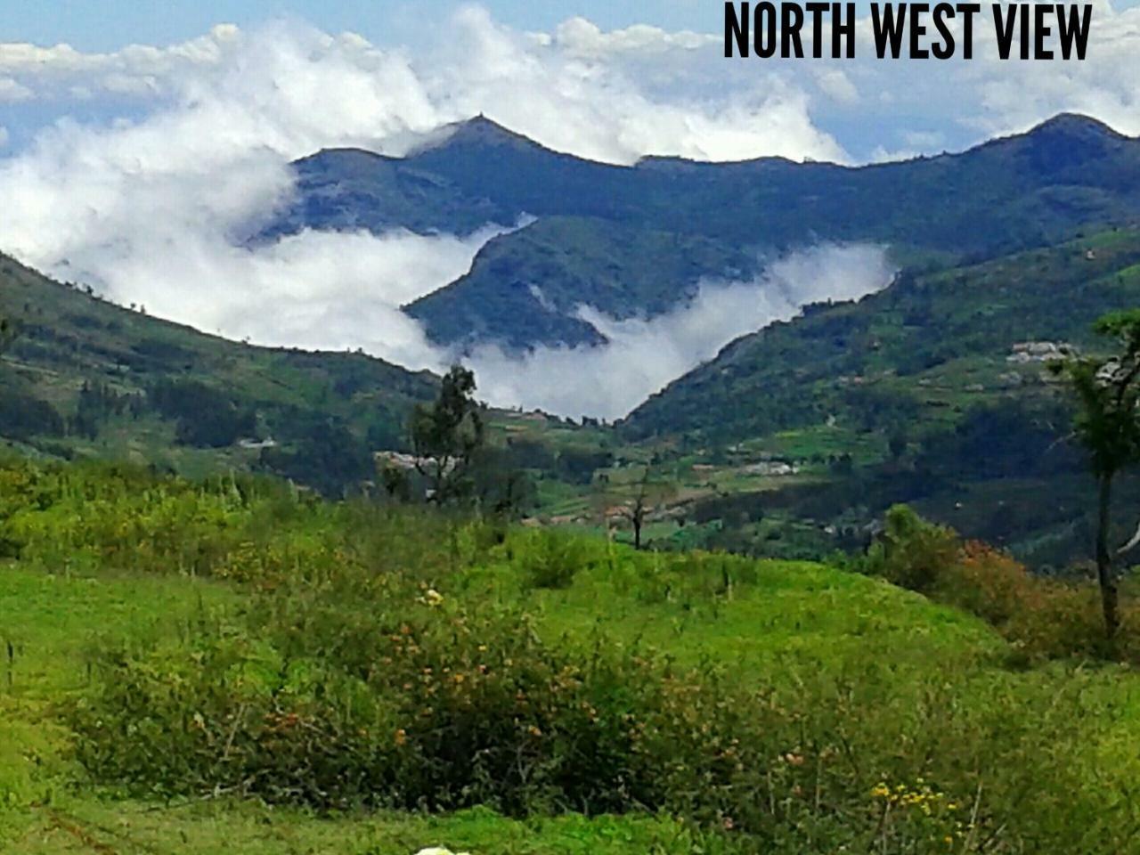 The Bowers Resort Ooty
