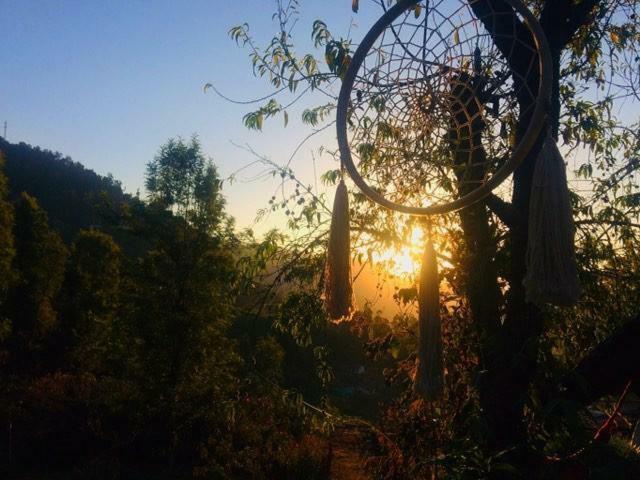 Hide Away Ooty