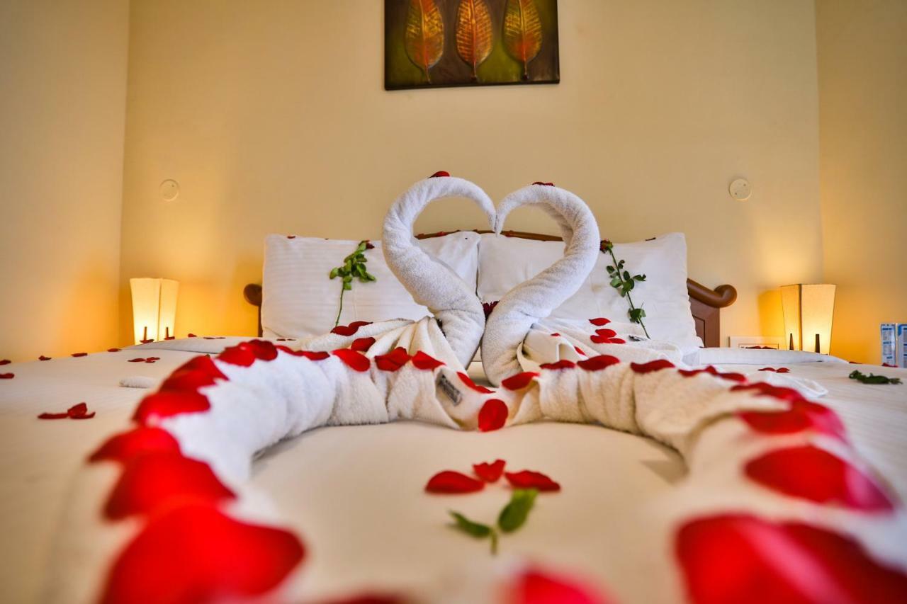 Hotel La Montana By Tgi