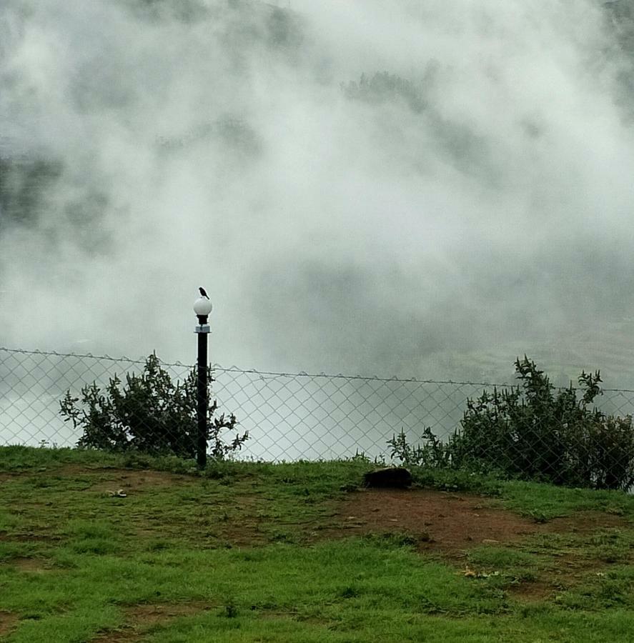 The Bowers Ooty